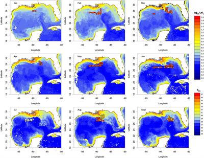 Dispersion Overrides Environmental Variability as a Primary Driver of the Horizontal Assemblage Structure of the Mesopelagic Fish Family Myctophidae in the Northern Gulf of Mexico